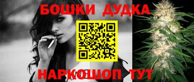 МДПВ Новозыбков