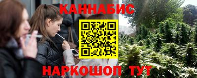 МДПВ Новозыбков
